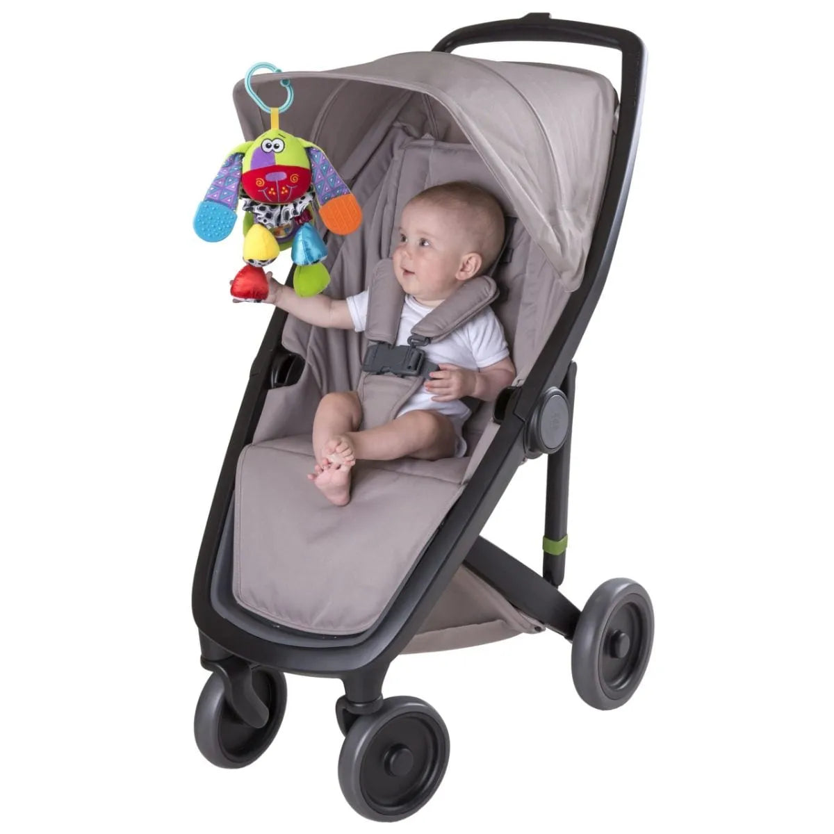 Playgro Activity Doofy Dog Refresh Polybag
