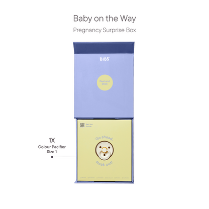 Bibs Pacifier Gift Set (Ivory)