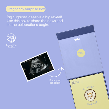 Bibs Pacifier Gift Set (Ivory)