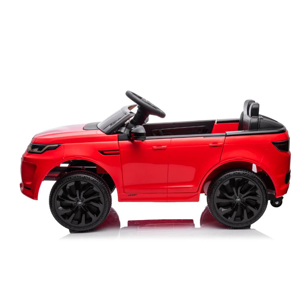 Rayfun Land Rover Discovery