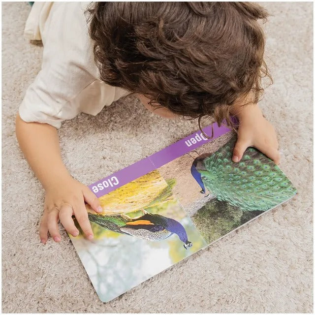 Bimbly Welcome to Wonderland Montessori Learning Set