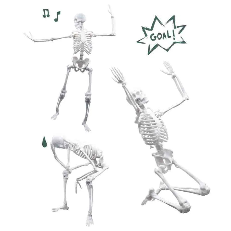 Buki France - Skeleton Model - 45 cm