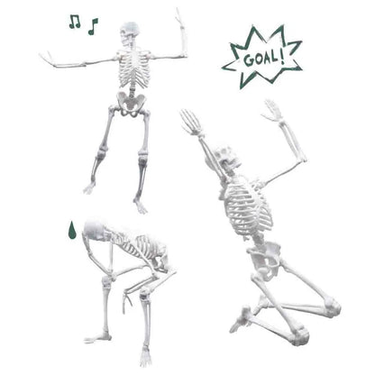 Buki France - Skeleton Model - 45 cm