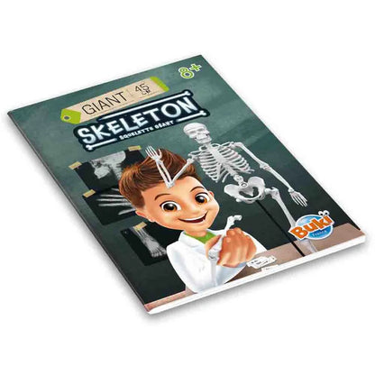 Buki France - Skeleton Model - 45 cm