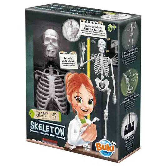 Buki France - Skeleton Model - 45 cm