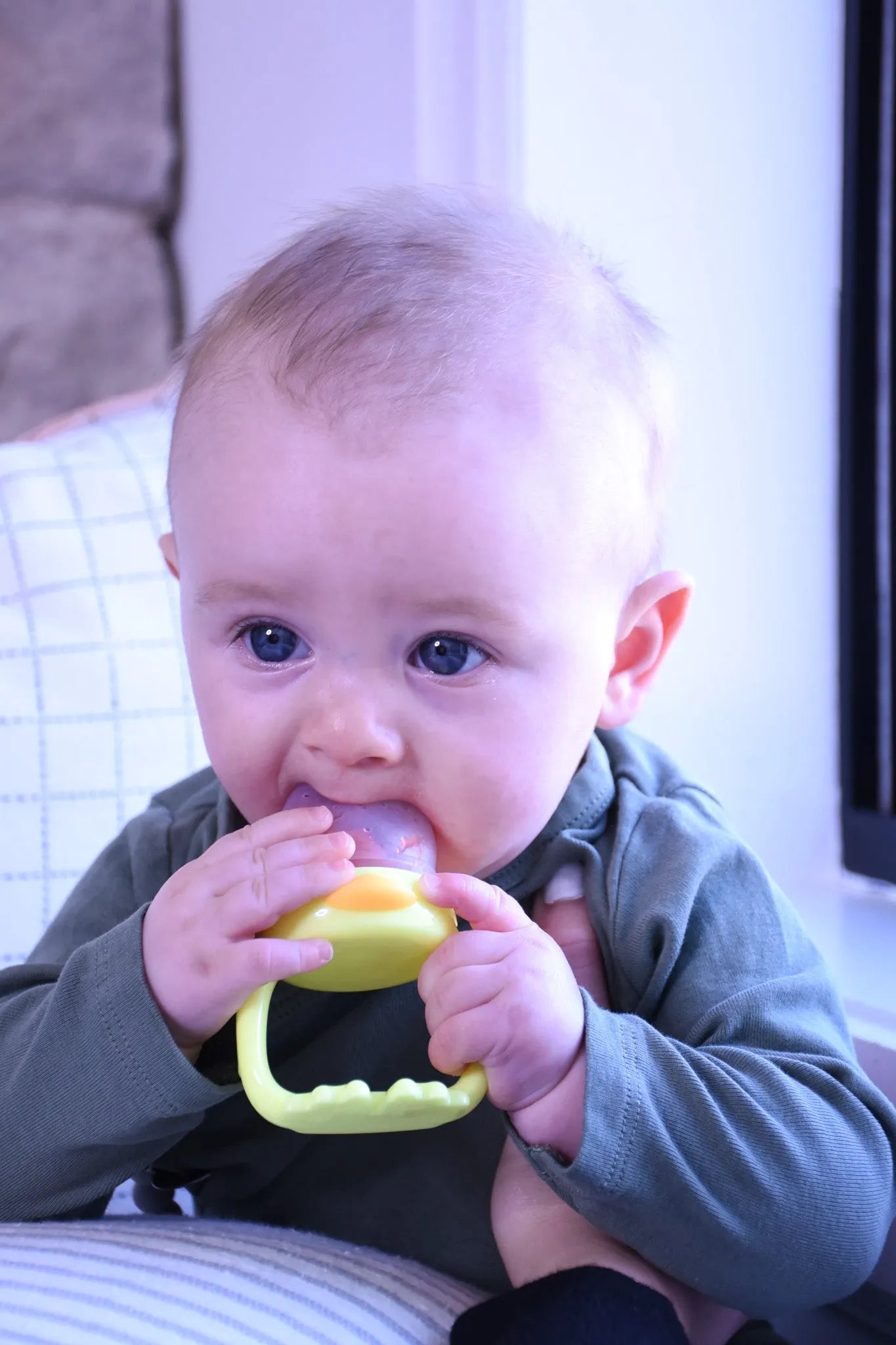 Melii Fresh Food Feeder
