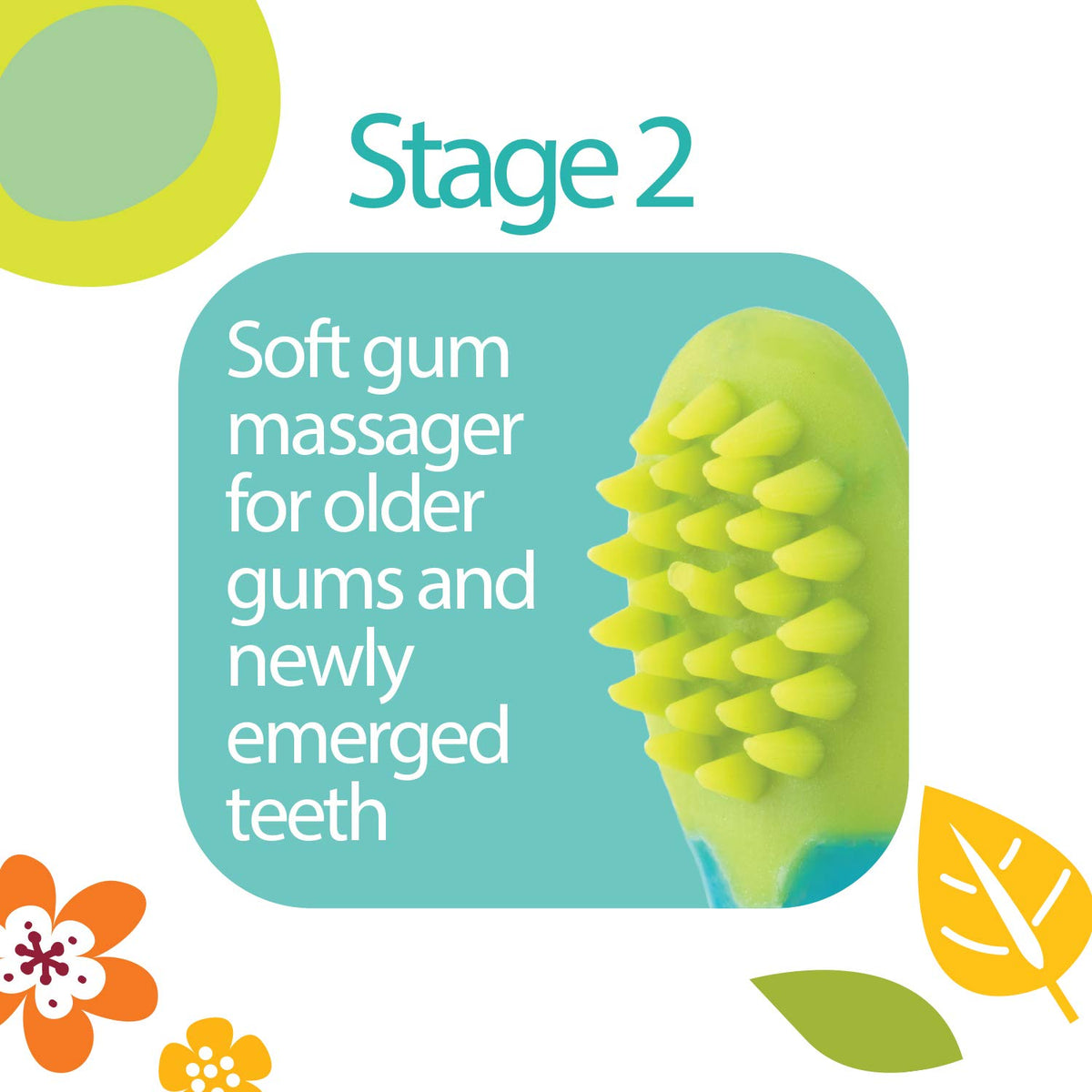 Dr. Talbot's Baby Tooth & Gum Care Kit - Pack of 4