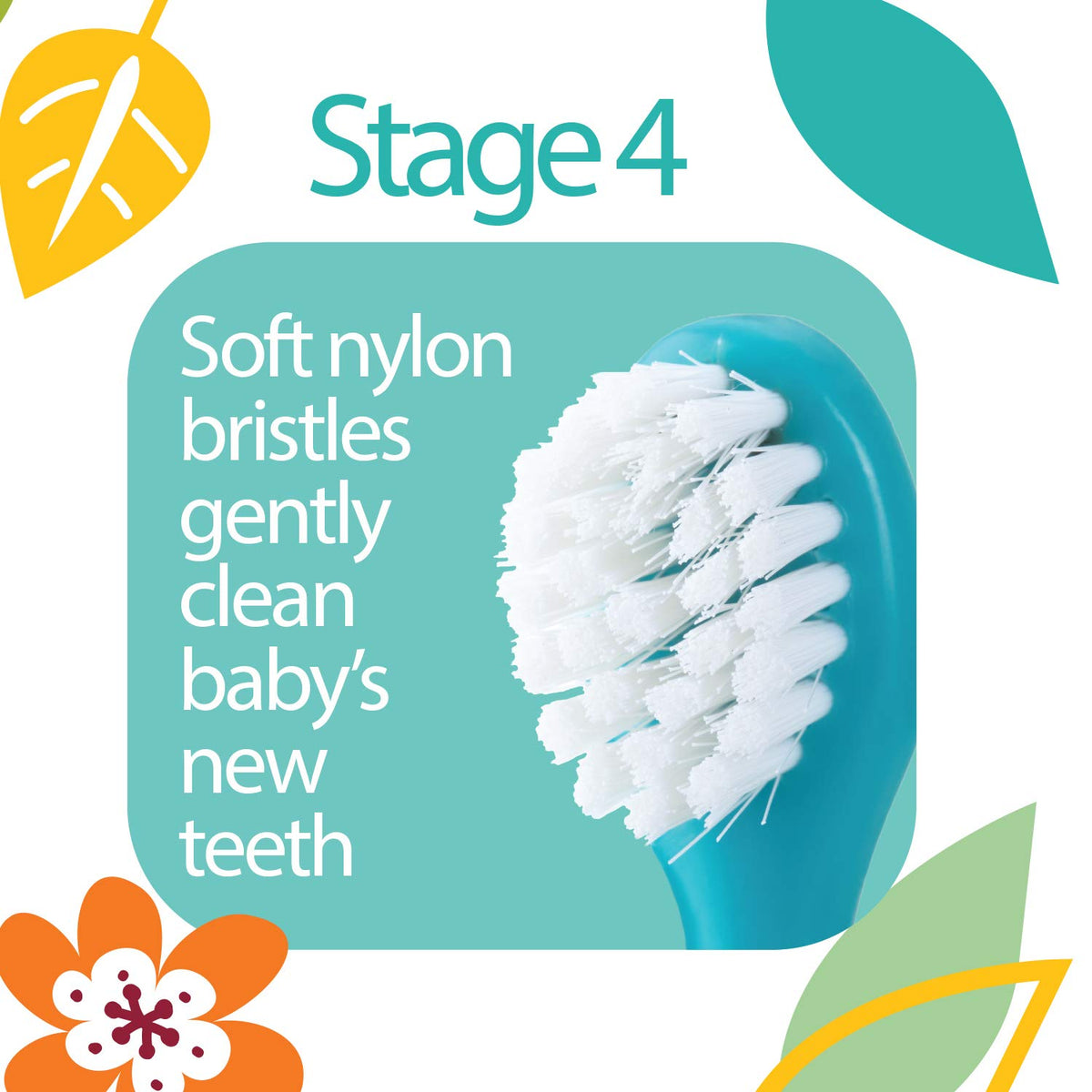 Dr. Talbot's Baby Tooth & Gum Care Kit - Pack of 4