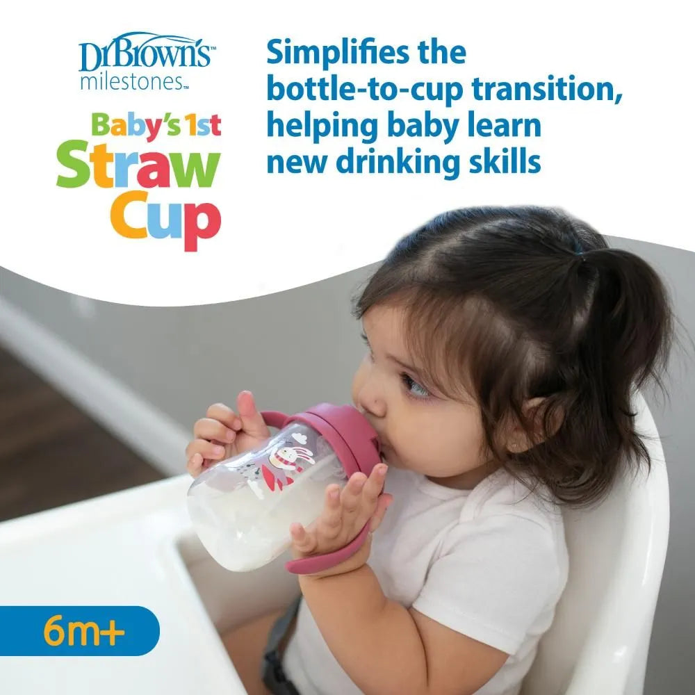 Dr.Browns Weighted Straw Cup (6 Months +) 270 ml