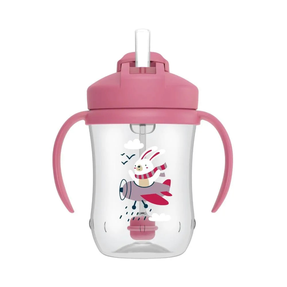 Dr.Browns Weighted Straw Cup (6 Months +) 270 ml