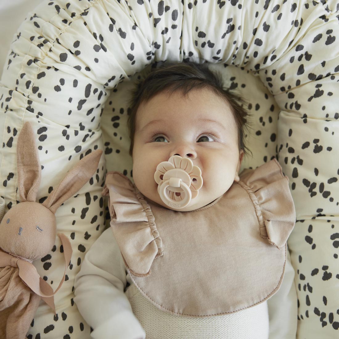عش الطفل من إلودي | نقاط الدلماسي