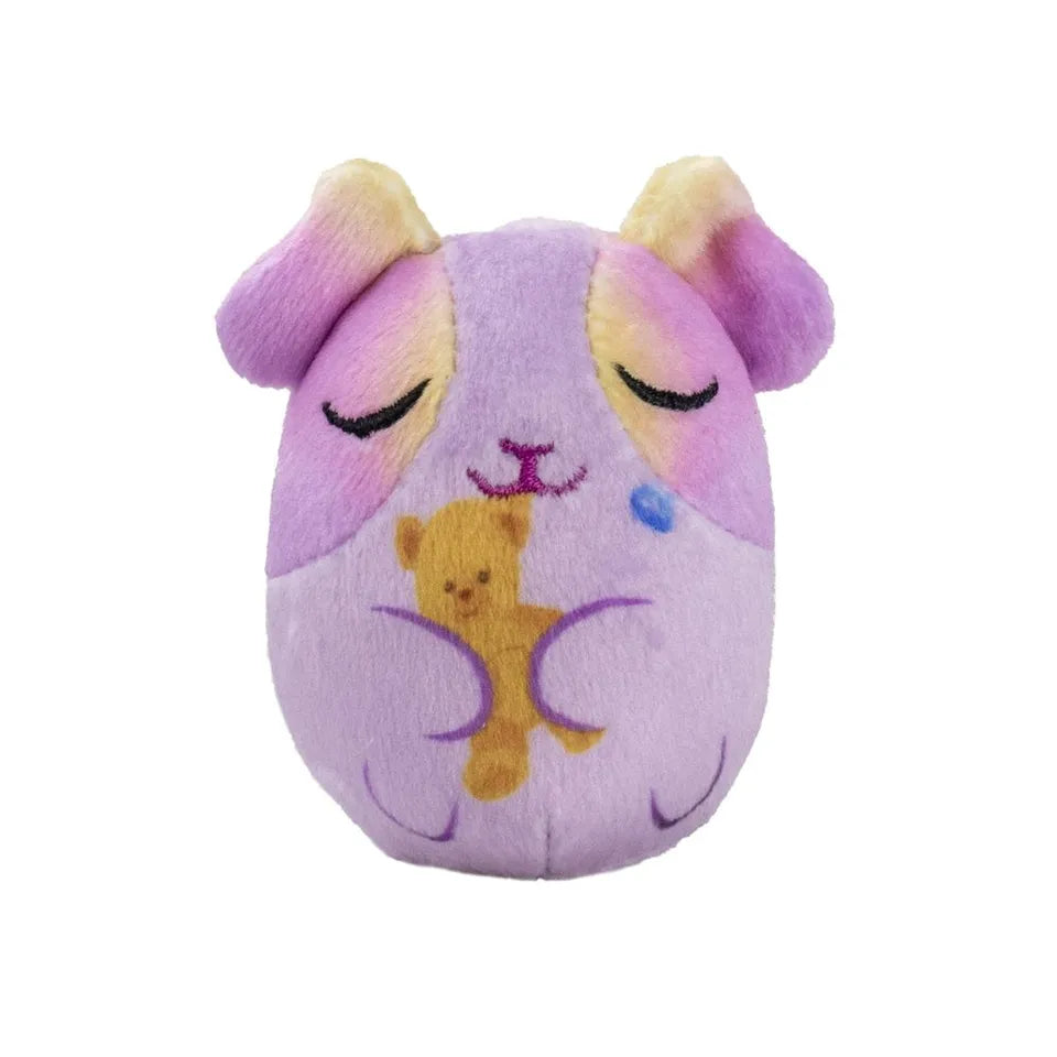 Eolo Cutie Pops & Connect Pops Set