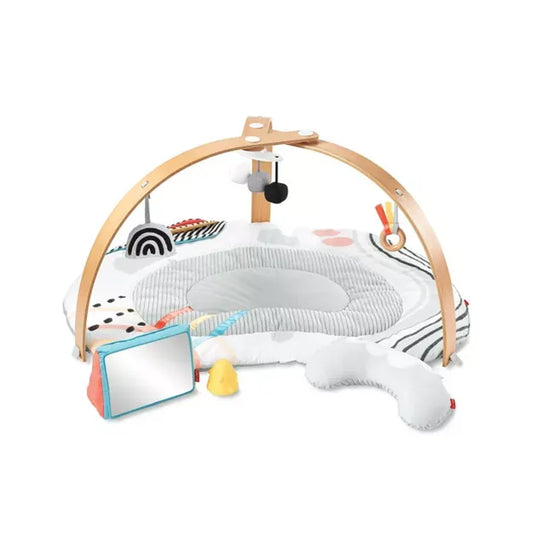 Skip Hop Discoverosity Play Gym (Multi Color)