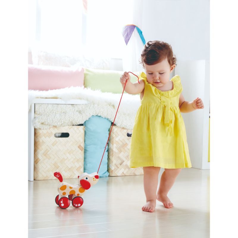 Hape Puppy Push & Pull Walk A Long Wooden Toy