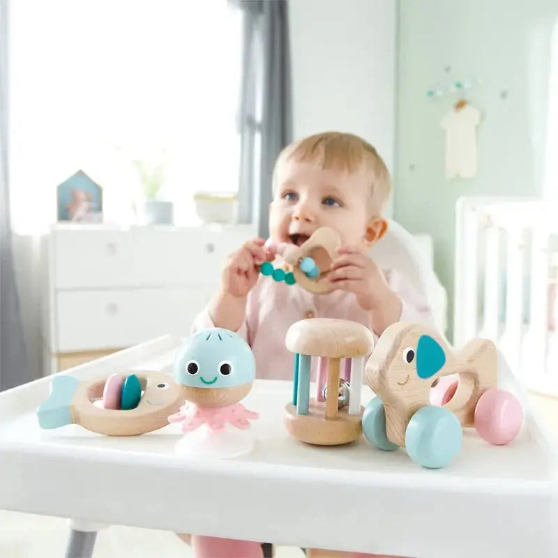 Hape 5 In 1 Baby Sensory Set