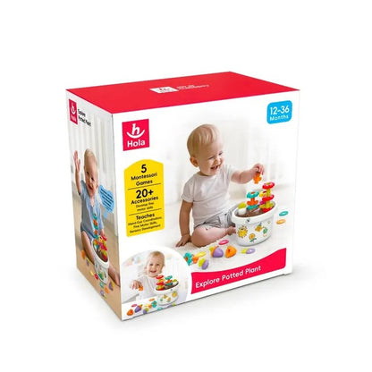 Hola Montessori Potted Plant Toy for Toddlers