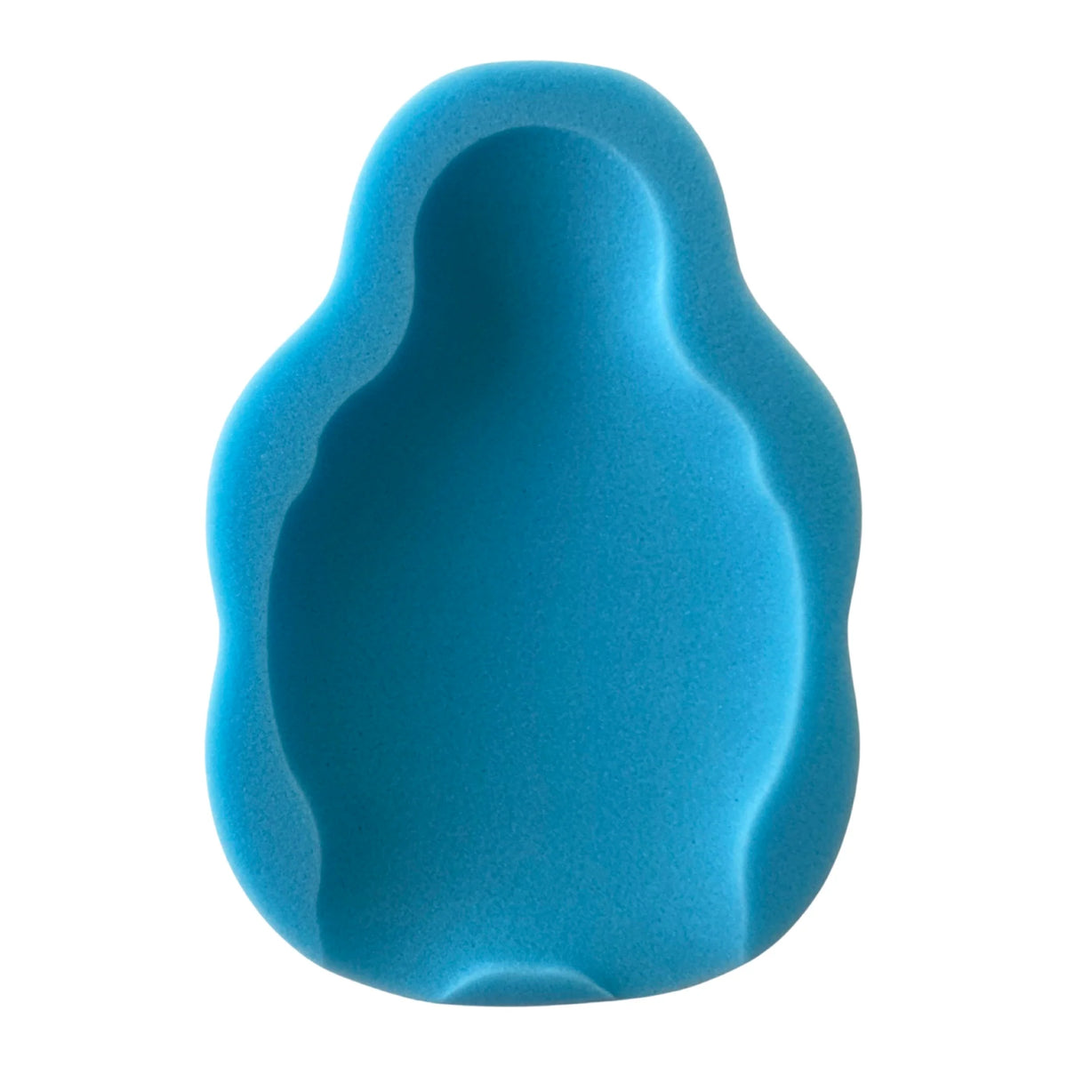 Robins Bath Support Sponge (Blue)
