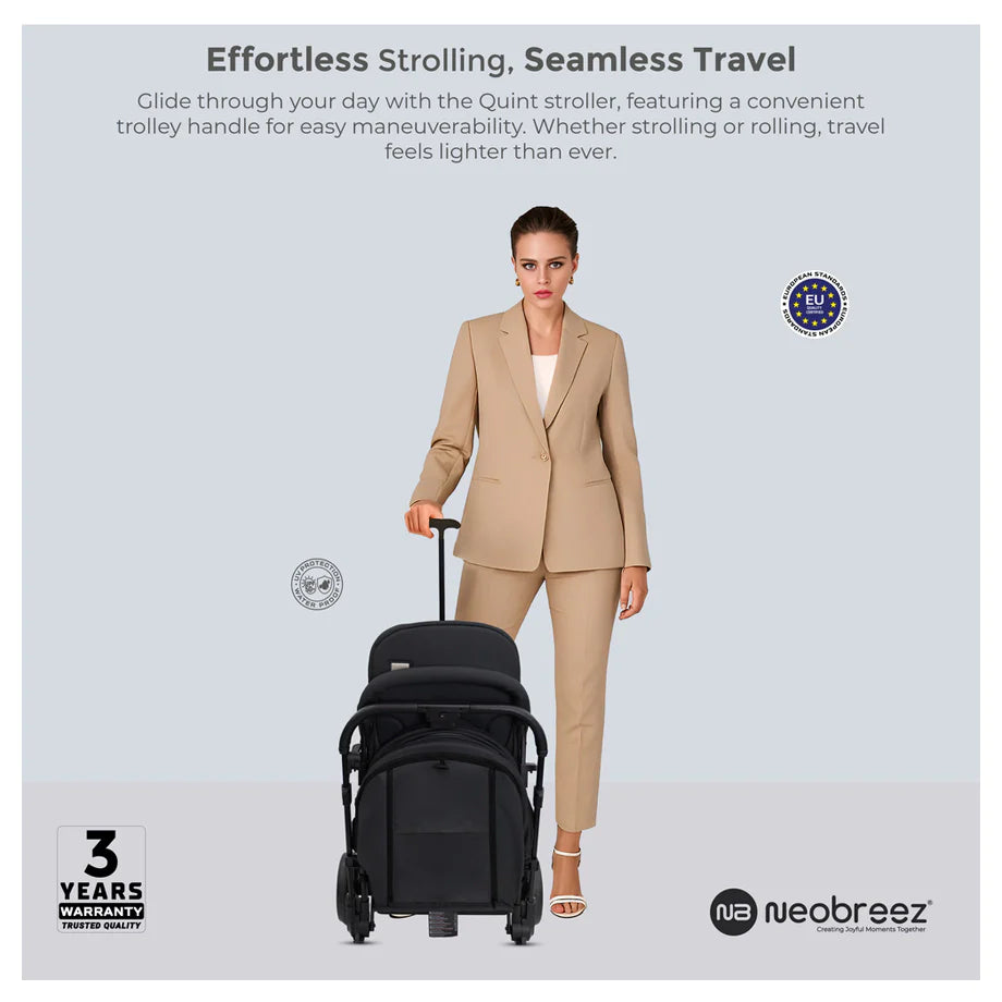 عربة أطفال كوينت من نيو بريز
