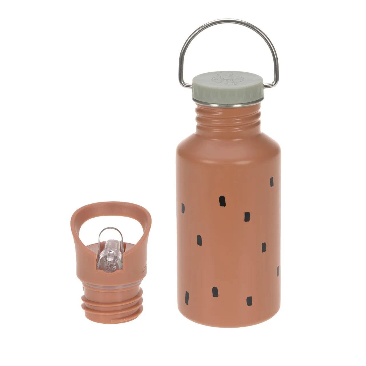 Lässig Stainless Steel School Drinking Bottle (500ml)