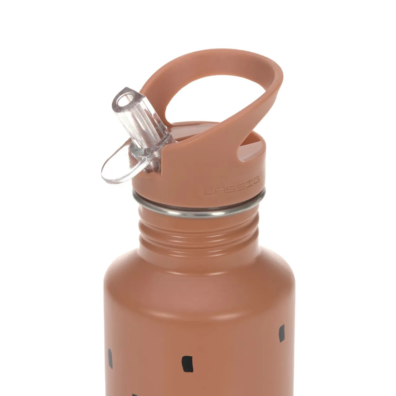 Lässig Stainless Steel School Drinking Bottle (500ml)