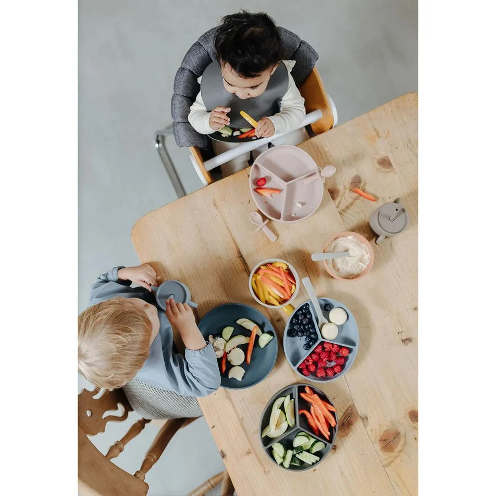 Pippeta Silicone Suction Plate