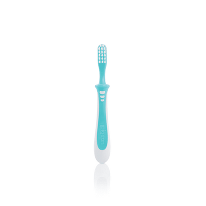 Pigeon Training Toothbrush