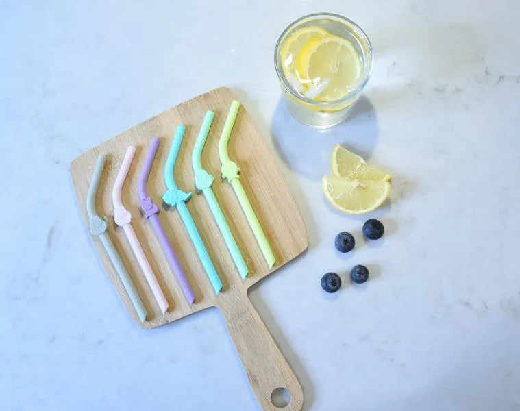 Melii Silicone Straws with Animals Clip Design & Cleaning Brush (6 Pcs)