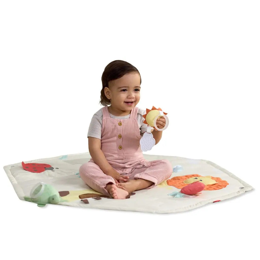 Skip Hop Geometric Wonders Play Gym