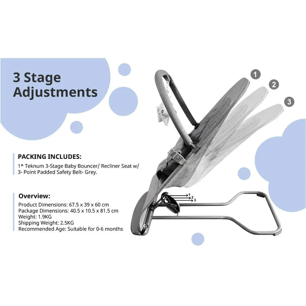 Teknum Baby Bouncer & Recliner Seat - Stage 3