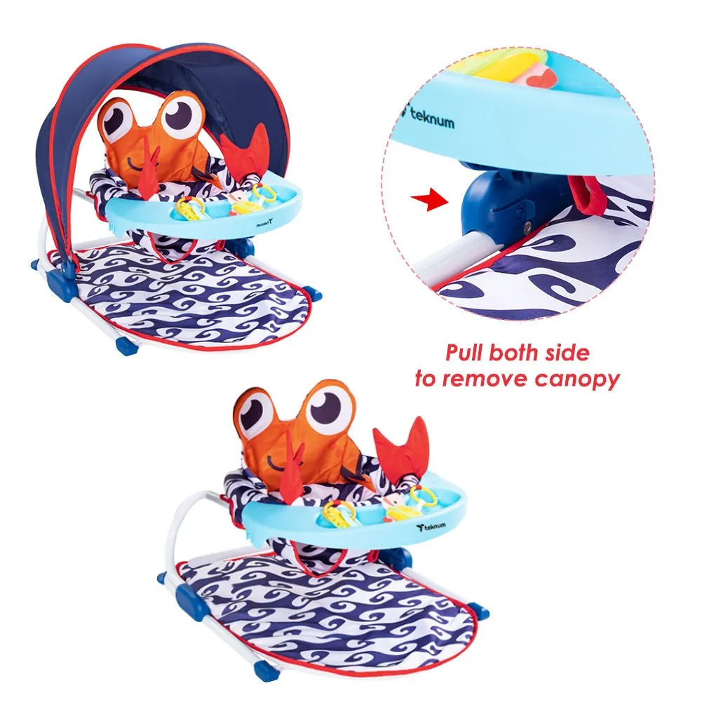Teknum Portable Baby Seat With Detachable Tray