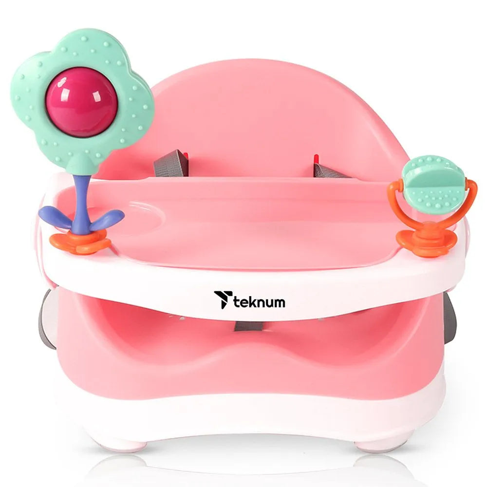 Teknum Baby Booster Chair