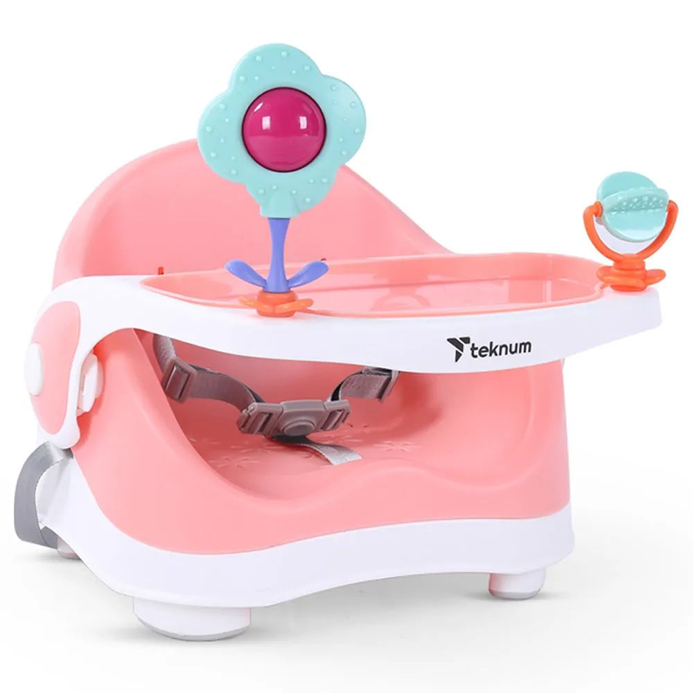 Teknum Baby Booster Chair