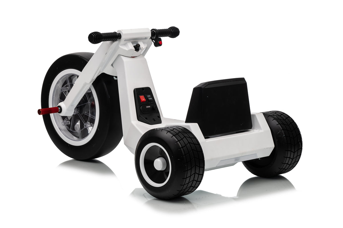 FITAAC 24V Electric Tricycle – Dual 550W Motors