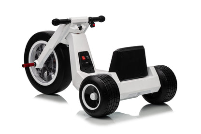 FITAAC 24V Electric Tricycle – Dual 550W Motors