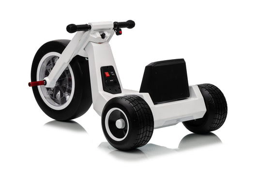 FITAAC 24V Electric Tricycle – Dual 550W Motors