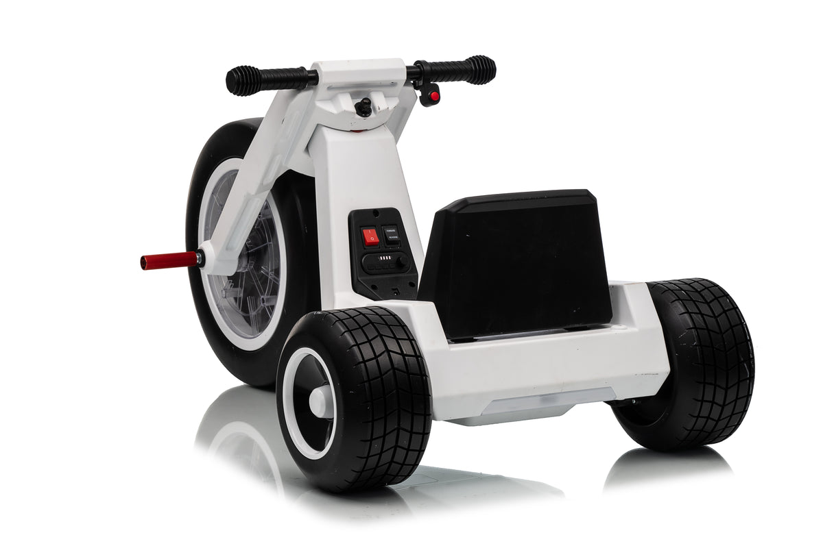 FITAAC 24V Electric Tricycle – Dual 550W Motors