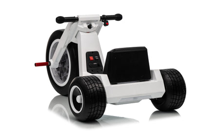 FITAAC 24V Electric Tricycle – Dual 550W Motors