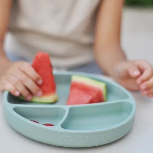 طبق حصص من السيليكون من مينكويي