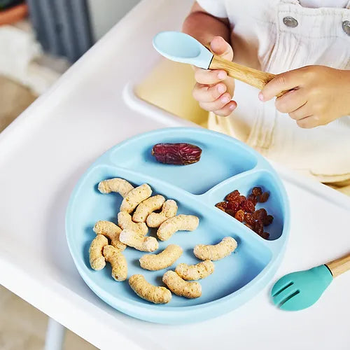 طبق حصص من السيليكون من مينكويي