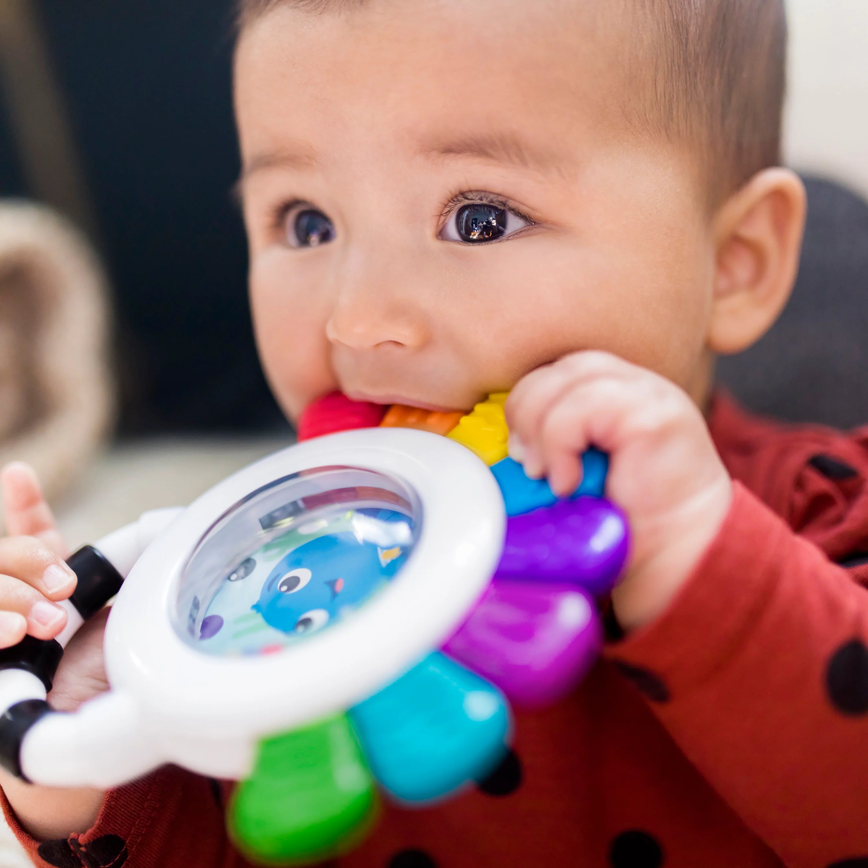 Baby Einstein Outstanding Opus Sensory Rattle & Teether