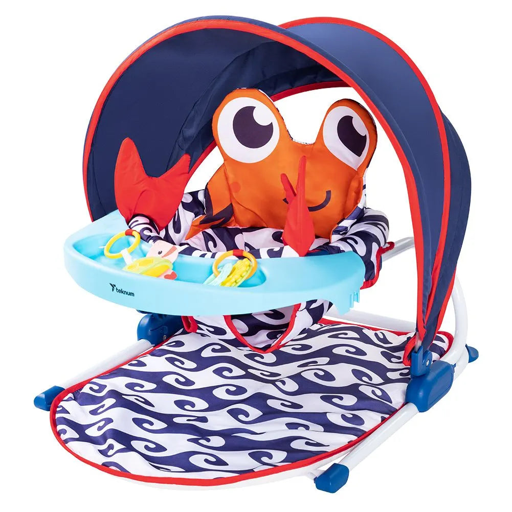 Teknum Portable Baby Seat With Detachable Tray