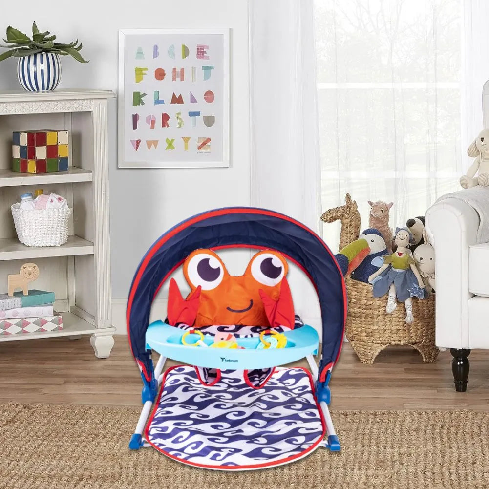 Teknum Portable Baby Seat With Detachable Tray