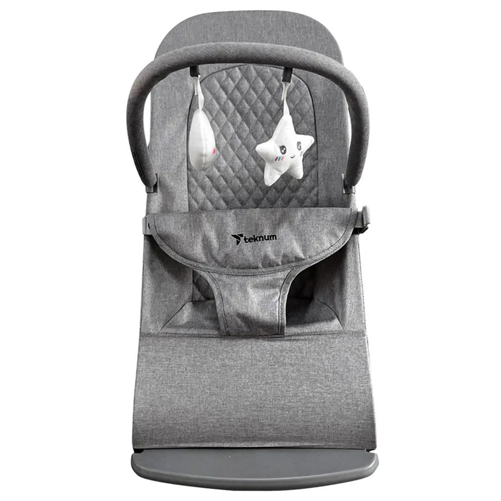 Teknum Baby Bouncer & Recliner Seat - Stage 3
