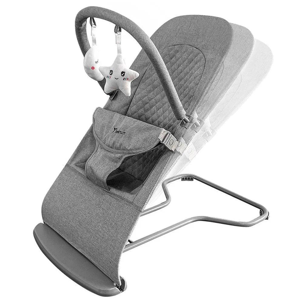 Teknum Baby Bouncer & Recliner Seat - Stage 3