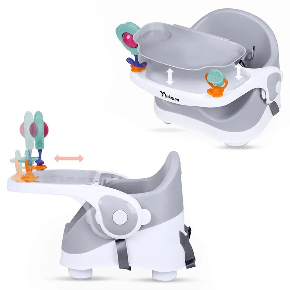 Teknum Baby Booster Chair