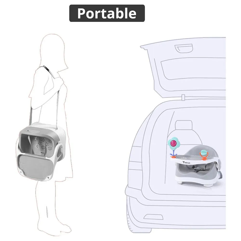 Teknum Baby Booster Chair