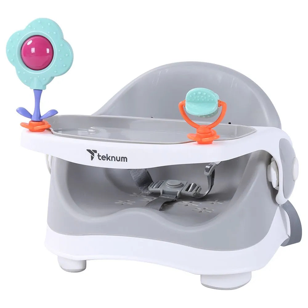 Teknum Baby Booster Chair