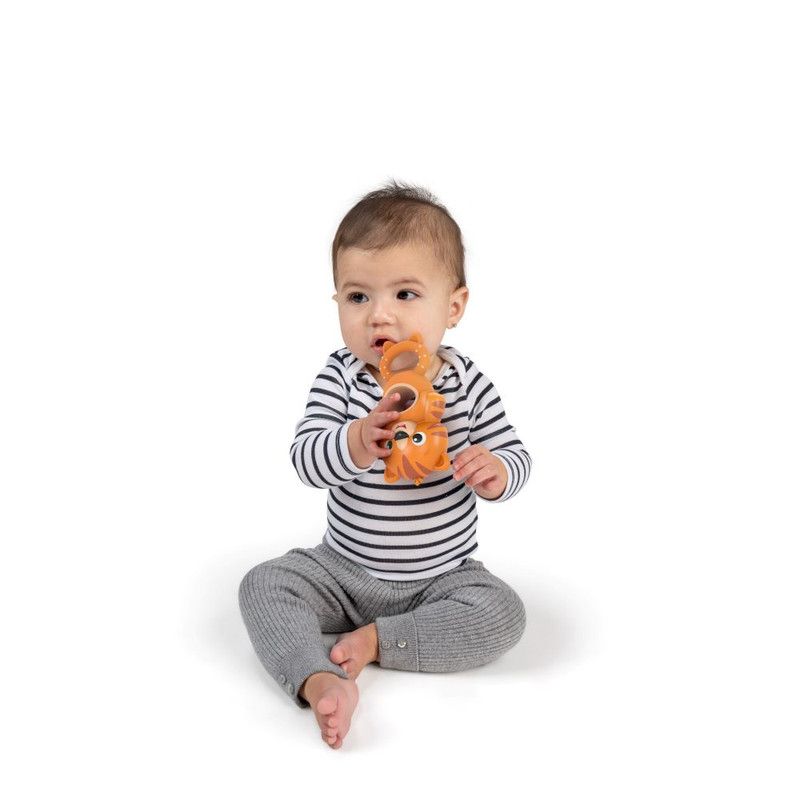 Baby Einstein Teether & Wobble Tiger Teether Toy
