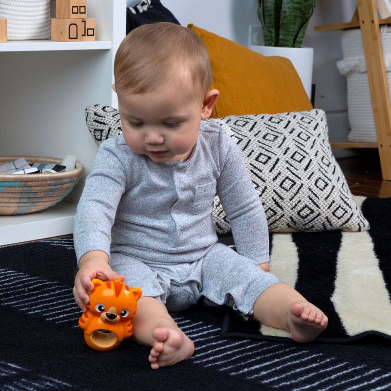 Baby Einstein Teether & Wobble Tiger Teether Toy