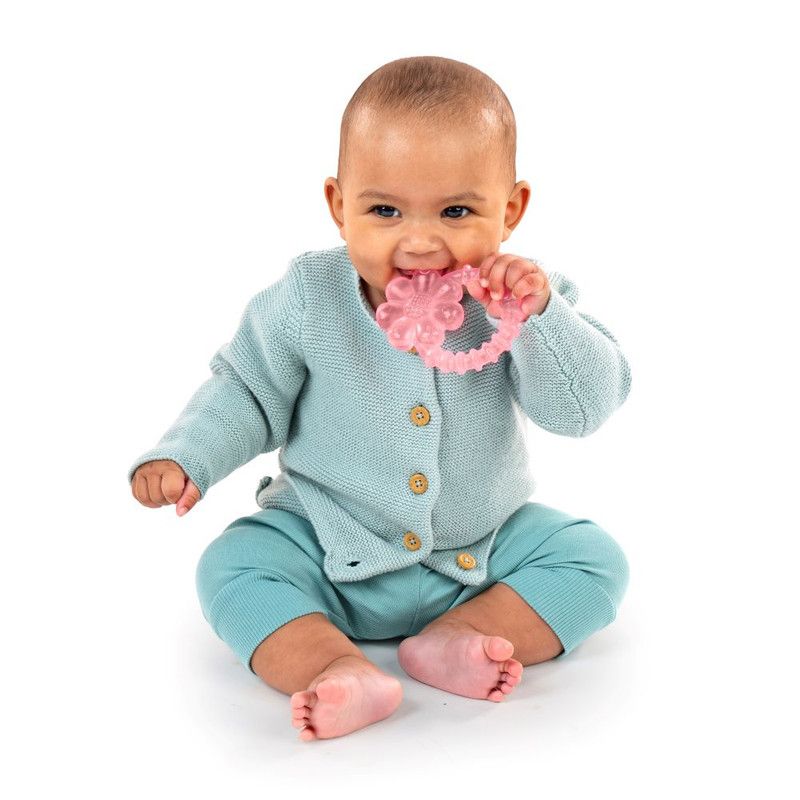 Ingenuity Cool Bite Water Teether